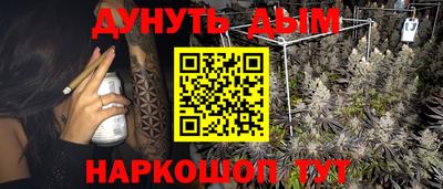 сатива Кулебаки
