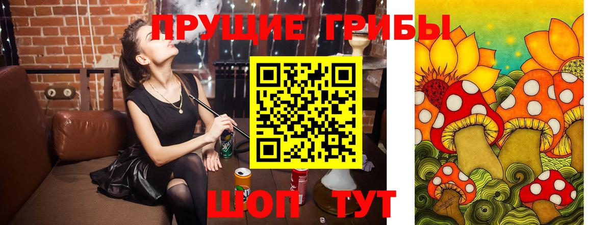 Галлюциногенные грибы Psilocybine cubensis  Вход с VPN  Чита  Галлюциногенные грибы прущие грибы 